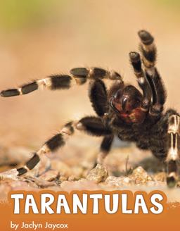 Tarantulas