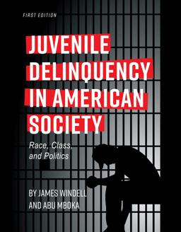Juvenile Delinquency in American Society Race, Class, and Politics 1st 9781516512911 Front Cover