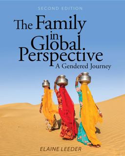 Family in Global Perspective A Gendered Journey 2nd 9781516531363 Front Cover