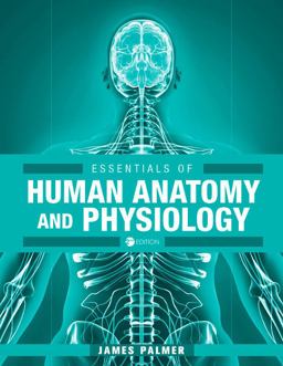 Essentials of Human Anatomy and Physiology (Second Edition)