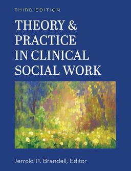 Theory and Practice in Clinical Social Work 3rd 9781516597161 Front Cover