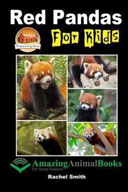 Red Pandas for Kids