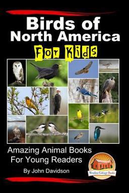 Birds of North America for Kids - Amazing Animal Books for Young Readers