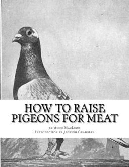 How to Raise Pigeons for Meat