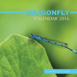 Dragonfly Calendar 2016: 16 Month Calendar