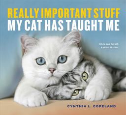 Really Important Stuff My Cat Has Taught Me  9781523501489 Front Cover