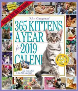The 365 Kittens-A-Year Picture-a-Day Wall Calendar 2019