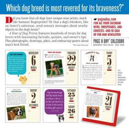 Dog Trivia Page-A-Day Calendar 2019