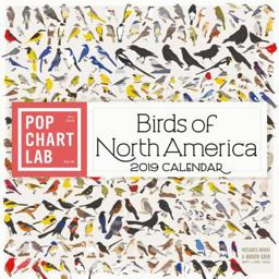 Birds of North America