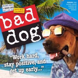 Bad Dog 2019 Mini Calendar