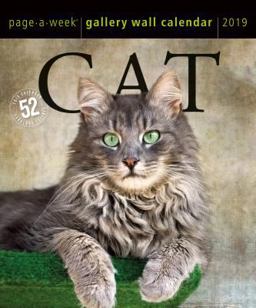Cat Page-A-Week Gallery Wall Calendar 2019