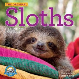 Original Sloths Wall Calendar 2021 2020 9781523508396 Front Cover