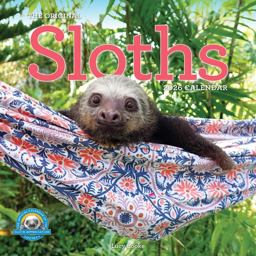 Original Sloths Wall Calendar 2026