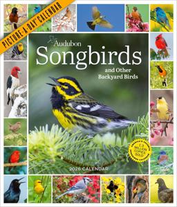 Audubon Songbirds and Other Backyard Birds Picture-A-Day® Wall Calendar 2026