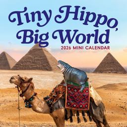 Tiny Hippo, Big World Mini Calendar 2026