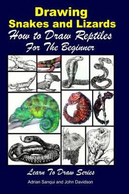 Drawing Snakes and Lizards - How to Draw Reptiles for the Beginner