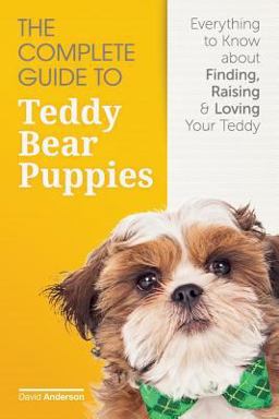 The Complete Guide to Teddy Bear Puppies