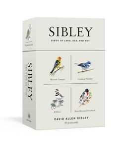 Sibley Birds of Land, Sea, and Sky 50 Postcards  9781524761820 Front Cover