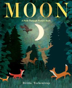 Moon: a Peek-Through Picture Book