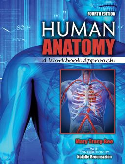 Human Anatomy: a Workbook Approach 4th 9781524961855 Front Cover