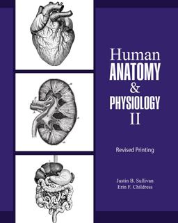 Human Anatomy and Physiology II  9781524980313 Front Cover