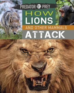 Predator vs Prey: How Lions and Other Mammals Attack!