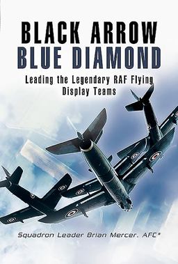 Black Arrow Blue Diamond