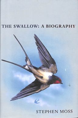 The Swallow
