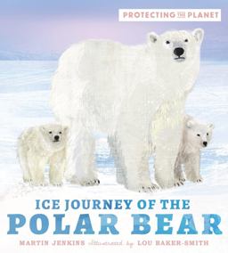 Ice Journey of the Polar Bear
