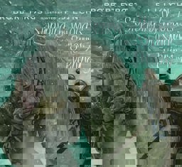 Stopping by Woods on a Snowy Evening