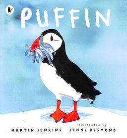 Puffin