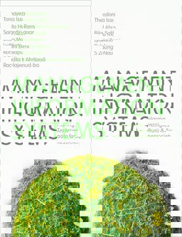 Management Information Systems Harnessing Technologies for Business and Society  9781529781182 Front Cover