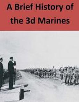 A Brief History of the 3d Marines