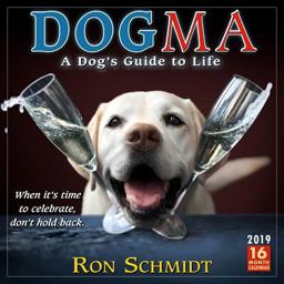 2019 Dogma