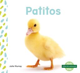 Patitos