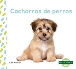 Cachorros de Perros