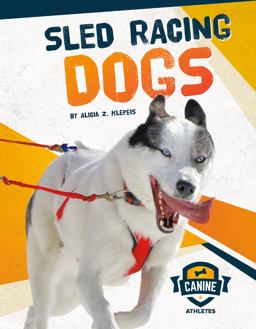 Sled Racing Dogs Sled Racing Dogs