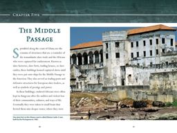 The Transatlantic Slave Trade