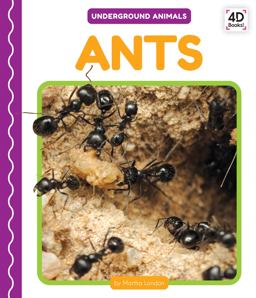 Ants