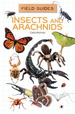 Insects and Arachnids Insects and Arachnids