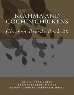 Brahma and Cochin Chickens