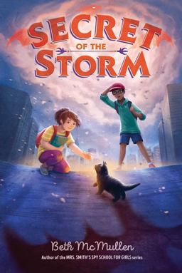 Secret of the Storm  9781534482852 Front Cover