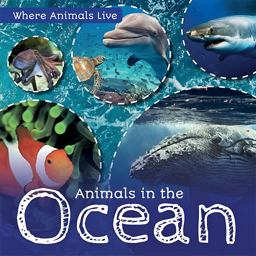 Animals in the Ocean Animals in the Ocean