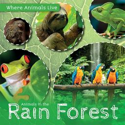 Animals in the Rain Forest Animals in the Rain Forest
