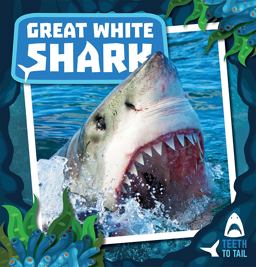 Great White Shark Great White Shark