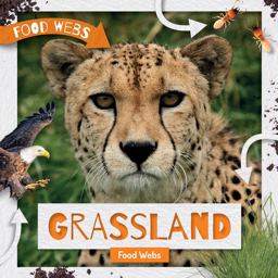 Grassland Food Webs Grassland Food Webs