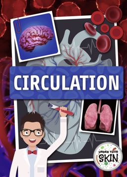 Circulation Circulation