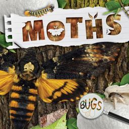 Moths Moths