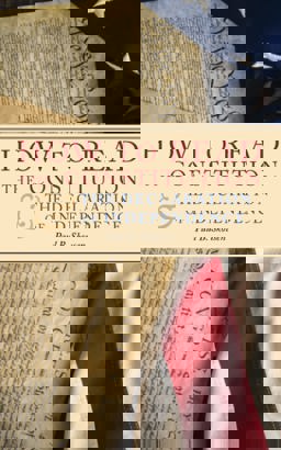 How to Read the Constitution and the Declaration of Independence  9781534853751 Front Cover