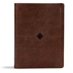 CSB Day-By-Day Chronological Bible, Brown LeatherTouch
